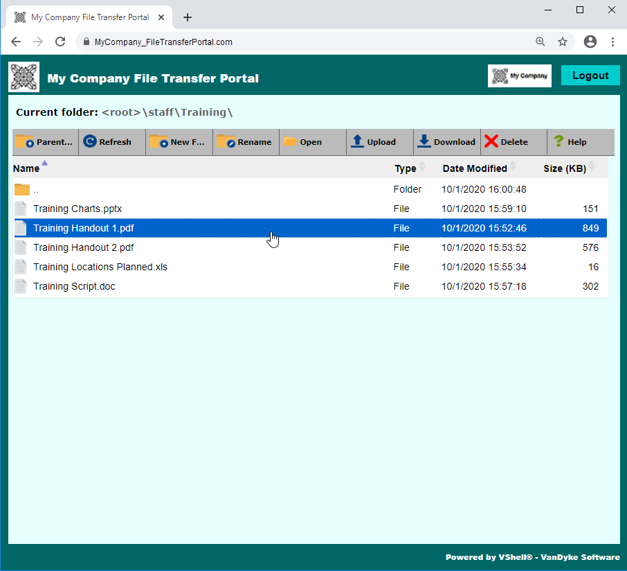 Customize VShell HTTPS Web User Interface for Your Organization