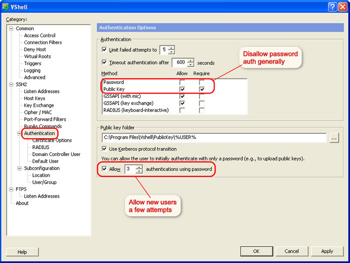 VShell Auth Setup (Windows version shown)