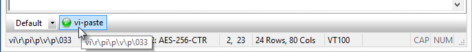 Example of vi Paste Button Added to Button Bar
