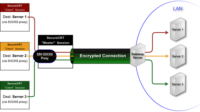 Ontleden Redding zegen Tips - Using A SecureCRT Secure Shell Connection As A SOCKS Proxy